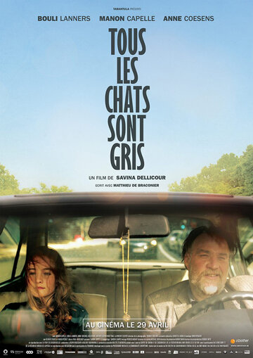 Tous les chats sont gris (2014)